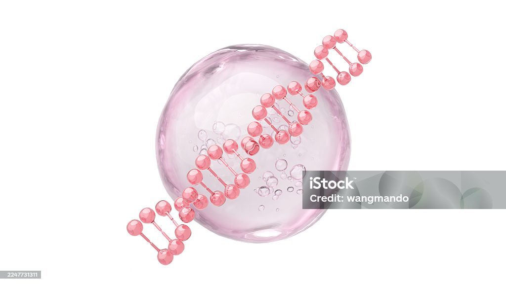 Aesthetic Regenerative Medicine